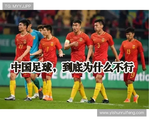 中国足球明星为何难以赢得球迷喜爱深度解析与反思
